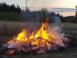 A bonfire burns dangerously in a field photo