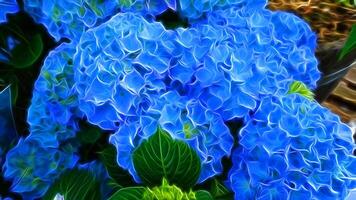 Digital painting style representing a blue hydrangea plant photo