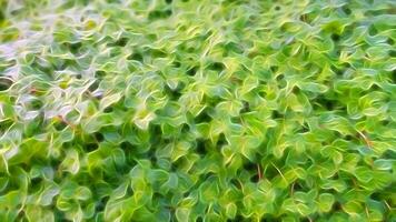 Digital painting style representing a blanket of green leaves photo