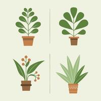 set of flowers plant in pots vector