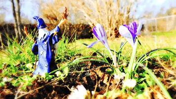 Merlin wizard helps spring to wake up photo