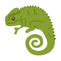 doodle baby chameleon vector