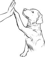 Line art drawing style. Pet and people friendship vector