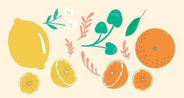 Citrus Fruit Lemon And Orange Objects vector