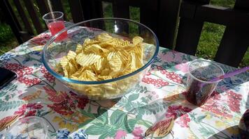 A bowl of potato chips on the table in the garden photo