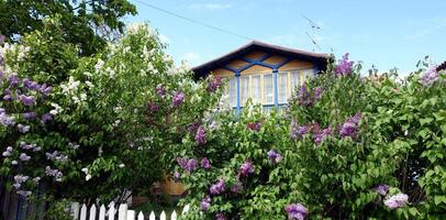 un casa en el Estocolmo región de Suecia. foto