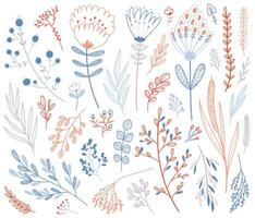 Set of hand-drawn floral elements, plants and flowers. Isolated on a white background. Doodle floral collection. vector