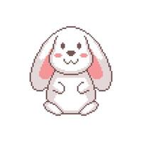 Cute bunny in isolated pixel art pixelation vector