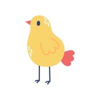 Cute yellow chick. flat illustration isolated on white background. vector