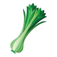 Illustration of Leek on White vector