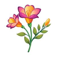 Illustration of Freesia on White vector