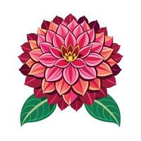 Illustration of Dahlia on White vector