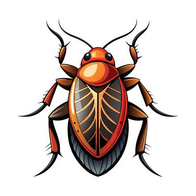 of Cockroach Illustration on White