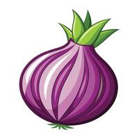 Illustration of Onion on White vector