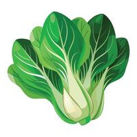 ilustración de llevar a la fuerza bok choy en blanco vector