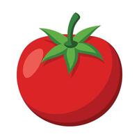ilustración de tomate en blanco vector
