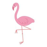 Pink flamingo isolated on white background. Flamingo illustration. Cute exotic bird. vector