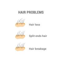 illustration of three designs for hair problems, hair loss, split ends, broken hair. vector