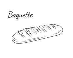 Baguette bread. White bread. Outline icon for bakery shop, or food design, menu, and bakery shop label. illustration. vector