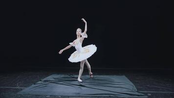 volador alrededor el cámara alrededor un hermosa agraciado bailarina, congelado agraciado ballet posición. video