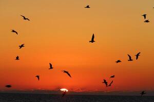 Lighting and color of the sky above the horizon at sunset. photo