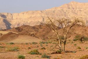 timna montaña rango en Eilat en del Sur Israel. foto