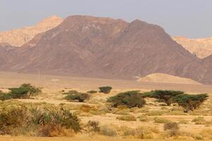 timna montaña rango en Eilat en del Sur Israel. foto