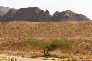 timna montaña rango en Eilat en del Sur Israel. foto