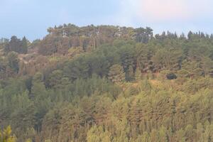 Landscape in the mountains in northern Israel. photo