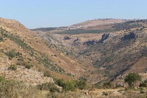 paisaje en las montañas del norte de israel. foto