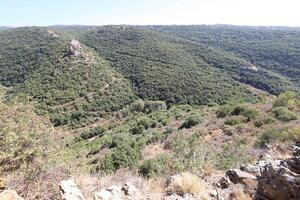 paisaje en las montañas del norte de israel. foto