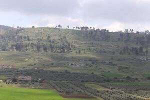 paisaje en las montañas del norte de israel. foto