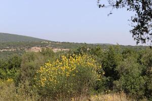 Landscape in the mountains in northern Israel. photo