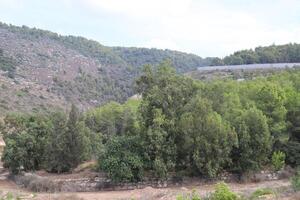 Landscape in the mountains in northern Israel. photo