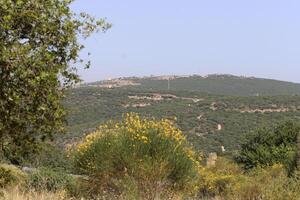 paisaje en las montañas del norte de israel. foto