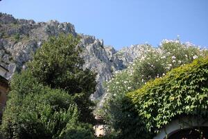 paisaje en el montañas con puntos de vista de prístino naturaleza. foto