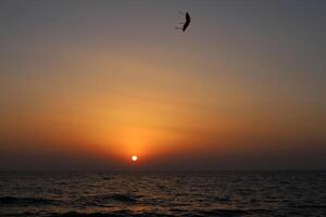 Lighting and color of the sky above the horizon at sunset. photo