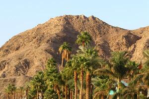 Timna mountain range in Eilat in southern Israel. photo