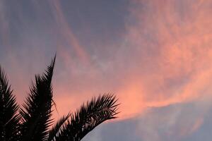 Lighting and color of the sky above the horizon at sunset. photo