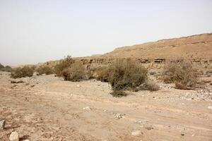 The Negev is a desert in the Middle East, located in Israel and occupying about 60 of its territory. photo