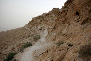 The Negev is a desert in the Middle East, located in Israel and occupying about 60 of its territory. photo