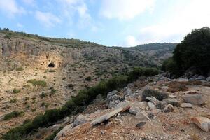 Landscape in the mountains with views of pristine nature. photo