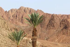 Timna mountain range in Eilat in southern Israel. photo