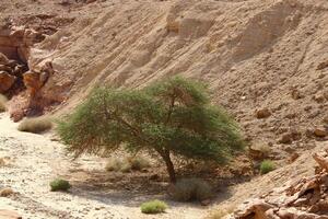 timna montaña rango en Eilat en del Sur Israel. foto