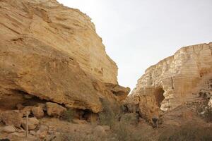 Landscape in the mountains with views of pristine nature. photo