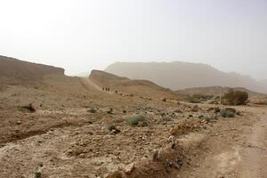 Landscape in the mountains with views of pristine nature. photo