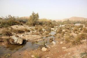 The Negev is a desert in the Middle East, located in Israel and occupying about 60 of its territory. photo