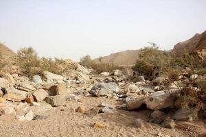 el negev es un Desierto en el medio este, situado en Israel y ocupando acerca de 60 60 de sus territorio. foto