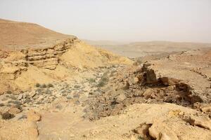 The Negev is a desert in the Middle East, located in Israel and occupying about 60 of its territory. photo