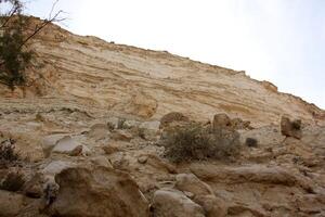 The Negev is a desert in the Middle East, located in Israel and occupying about 60 of its territory. photo